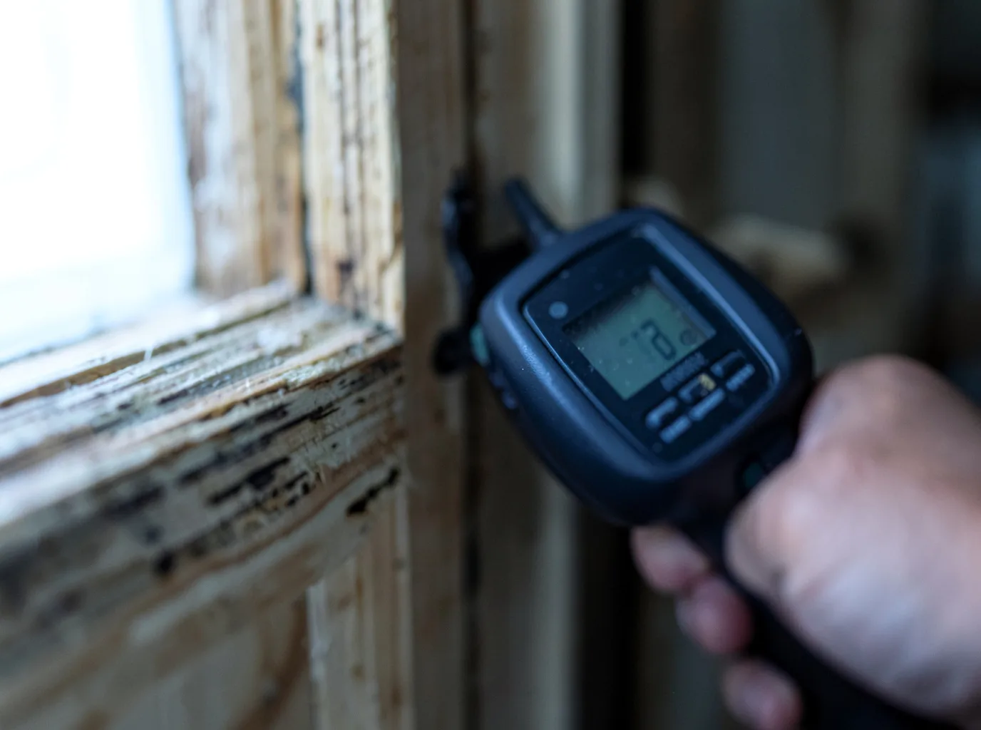 Moisture Inspection And Documentation in Wetmore, CO